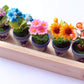 ThaiHonest Set 5 Assorted Dollhouse Miniature Flowers,Tiny Flowers in Ceramic Pot with Planter Box, Dollhouse Accessories for Collectibles
