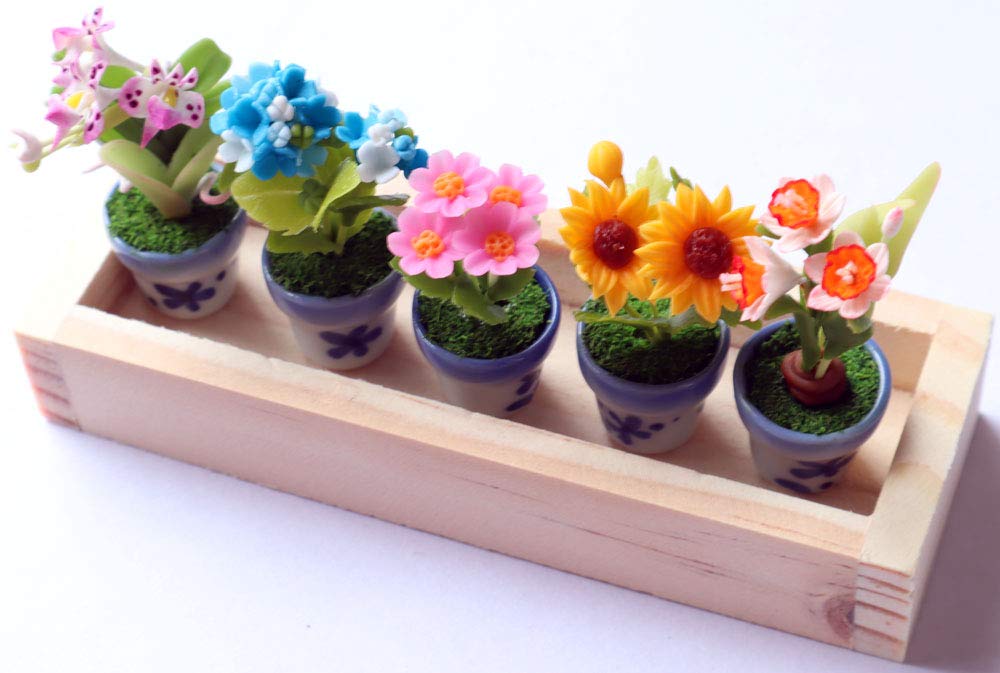 ThaiHonest Set 5 Assorted Dollhouse Miniature Flowers,Tiny Flowers in Ceramic Pot with Planter Box, Dollhouse Accessories for Collectibles