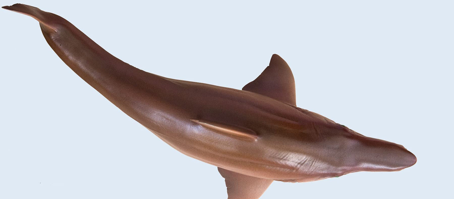 Lana Toys PNSO Helicoprion Haylee Figure Realistic Edestidae Shark PVC Collector Toys Animal Art Model Decoration Gift for Adult