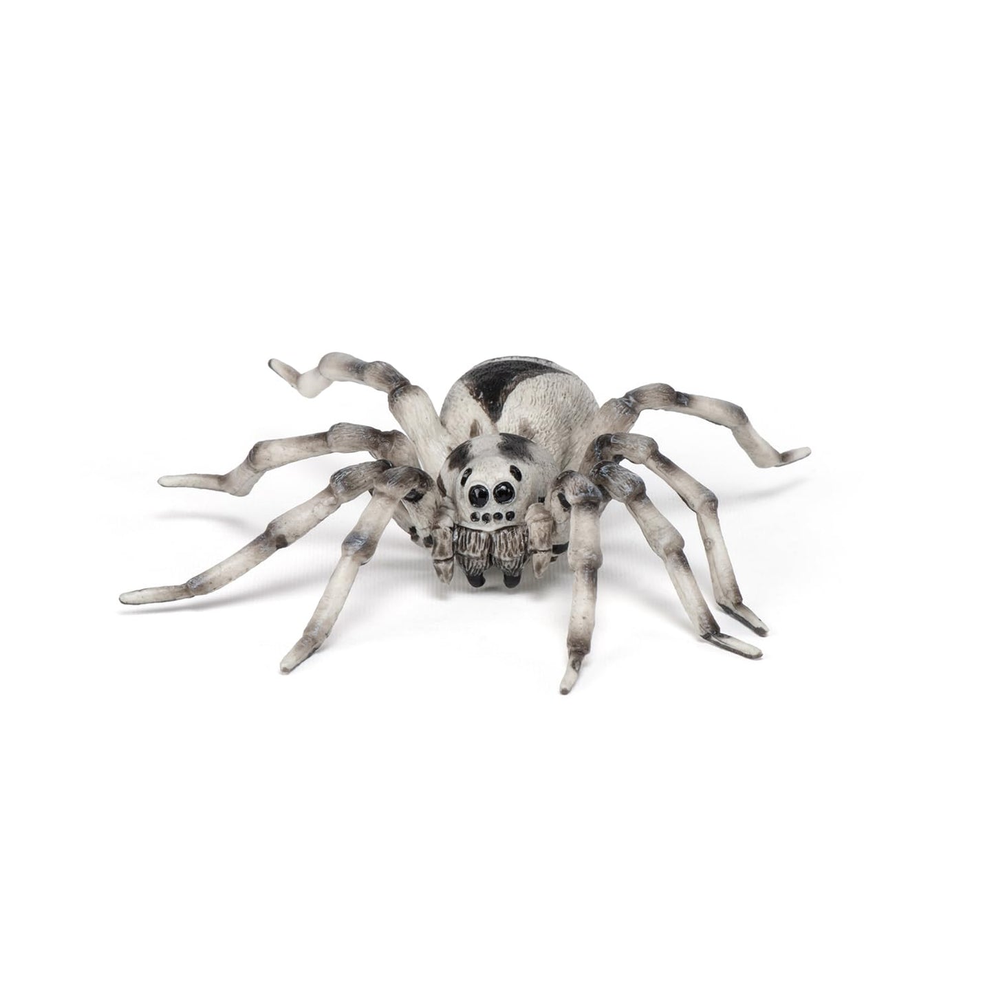 Papo - Realistic Tarantula Figure Toy for Kids - Ages 3+ - Wild Life Collection - Educational Play Insects and Spiders - Gift Idea Toy for Girls