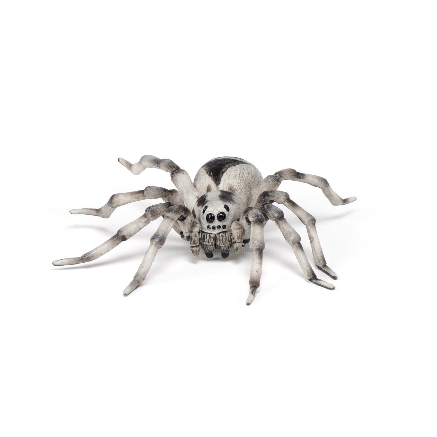 Papo - Realistic Tarantula Figure Toy for Kids - Ages 3+ - Wild Life Collection - Educational Play Insects and Spiders - Gift Idea Toy for Girls