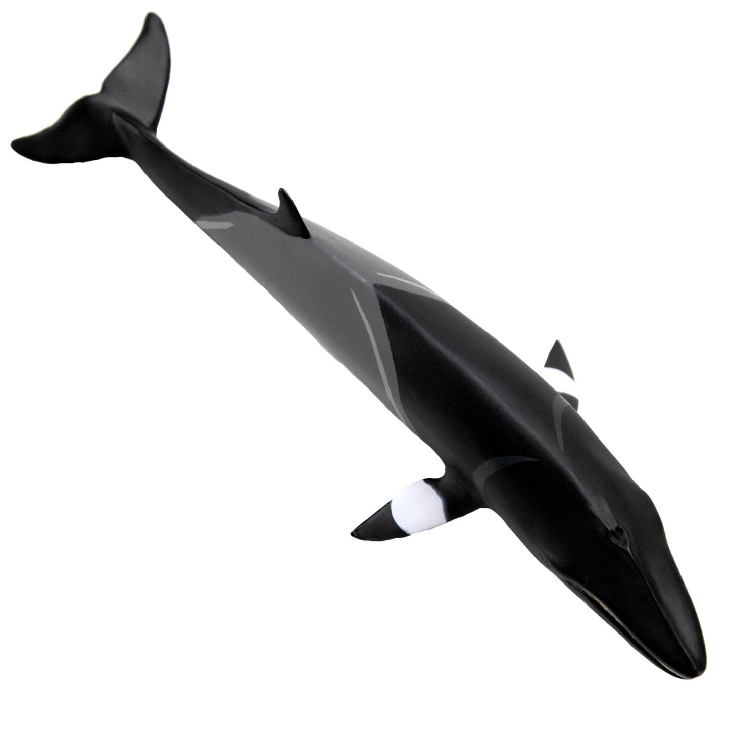 Safari Ltd. Minke Whale Figurine - Hand-Painted, Lifelike 7" Model Figure - Educational Sea Life Toy for Boys, Girls & Kids Ages 3+
