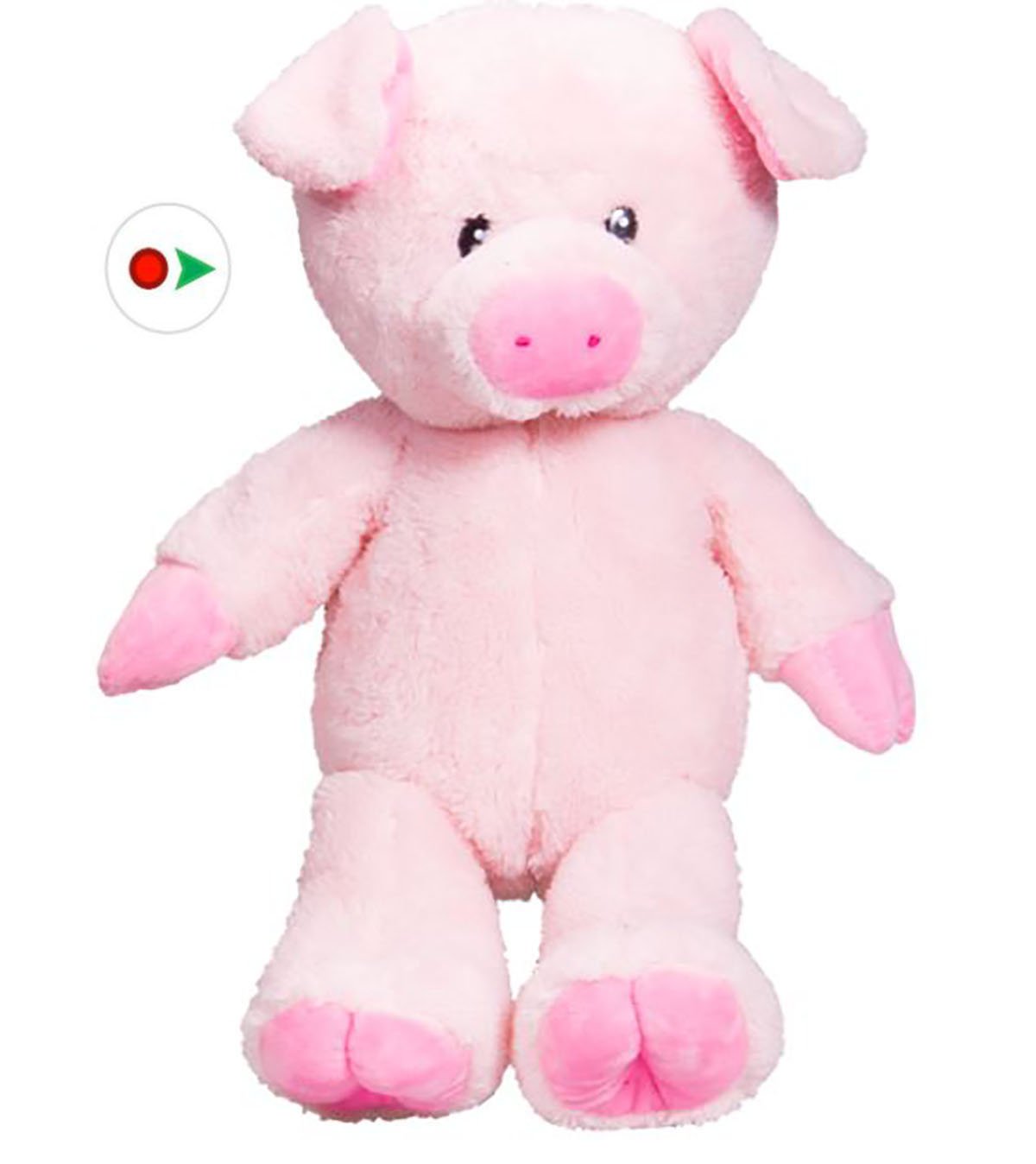Stuffems Toy Shop Record Your Own Plush 16 inch Pink Pig - Ready 2 Love in a Few Easy Steps