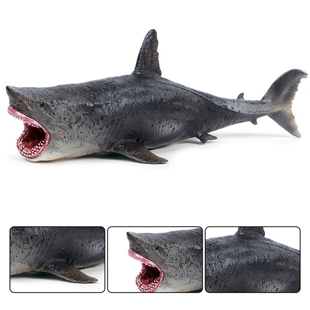 EOIVSH Large Shark Toys Megalodon, Plastic Assorted Ocean Animal Shark Figurine Realistic Sea Creature Toy Figure for Collection Gift, Bath Toy, Cake