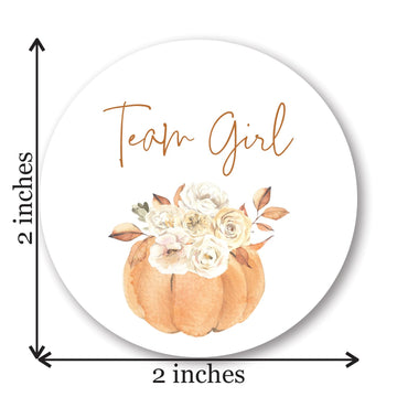 Boho Pumpkin Gender Reveal Stickers - 40 Labels (20 of Each Design)