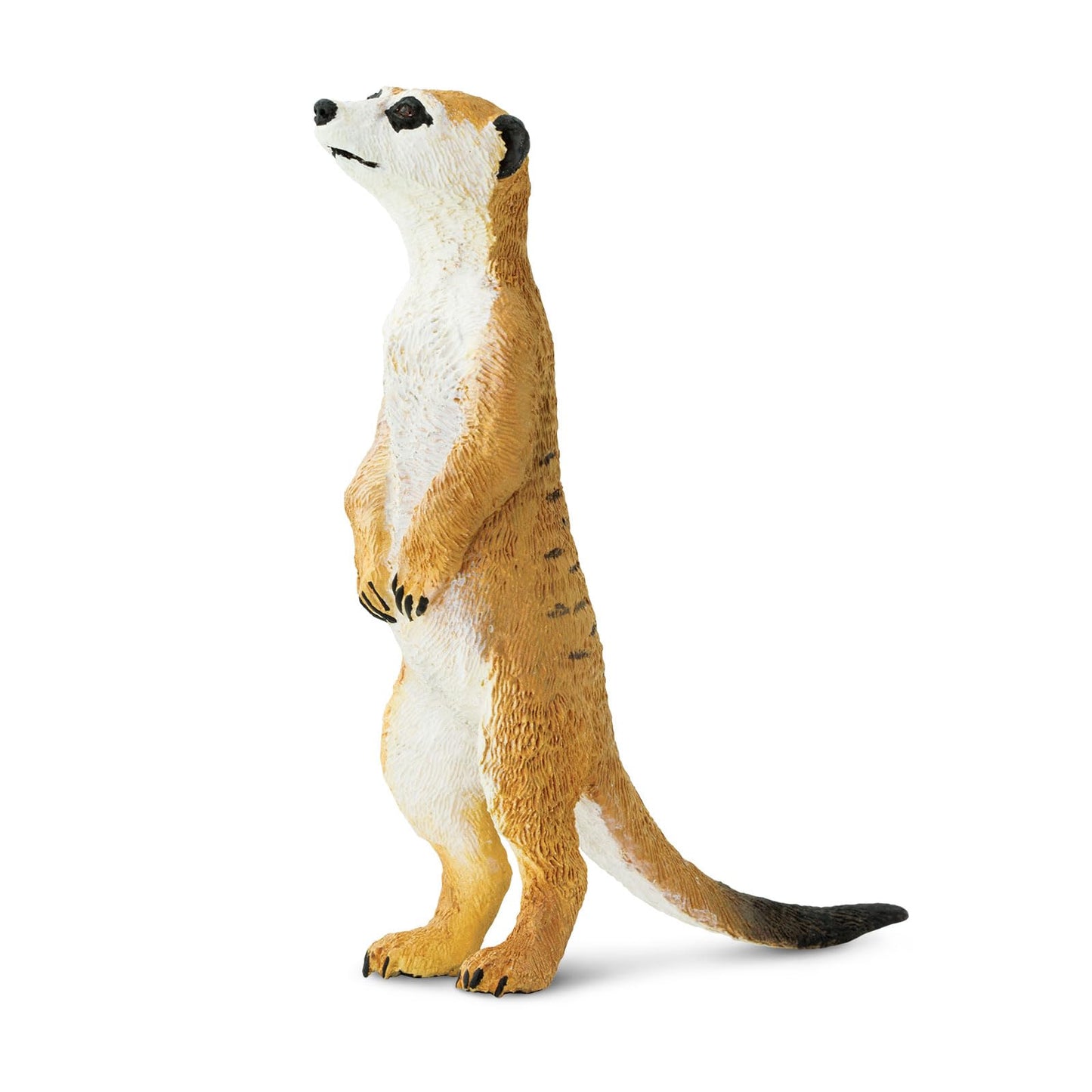 Safari Ltd. Meerkat Figurine - Hand-Painted, Lifelike 3.25" Model Figure - Fun Educational Toy for Boys, Girls & Kids Ages 3+
