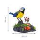 WYHFA Talking Parrots Birds Electronic Pets,Singing Chirping Bird with Motion Sensor Activation Office Home Decoration Kids Toys Brithday Gifts