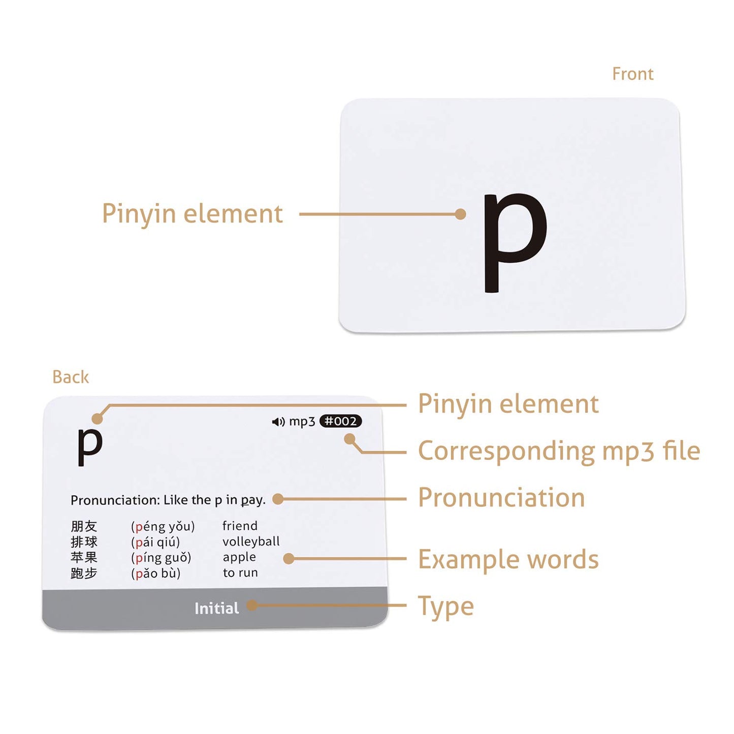 CARDDIA | Chinese Mandarin Pinyin Flashcards | Audio MP3 | Comprehensive Learning Kit for Beginners and Enthusiasts | Durable & Portable
