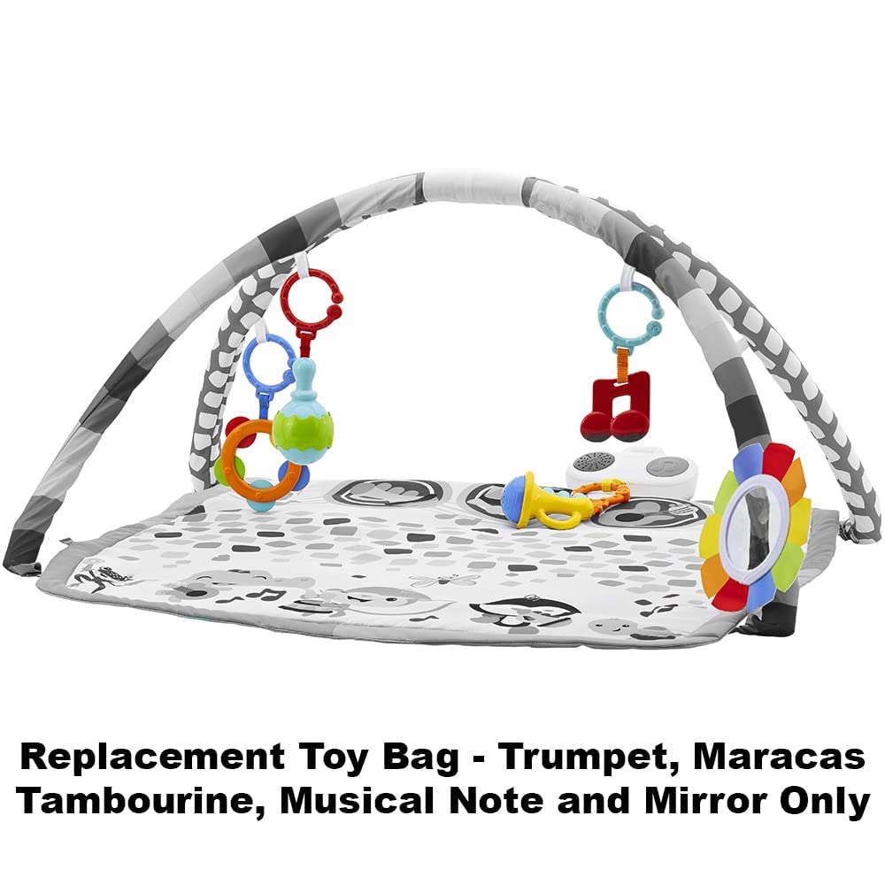 Replacement Toys for Fisher-Price Baby's Bandstand Play Gym - DFP69 ~ Replacement Trumpet, Maracas, Tambourine, Musical Note and Mirror