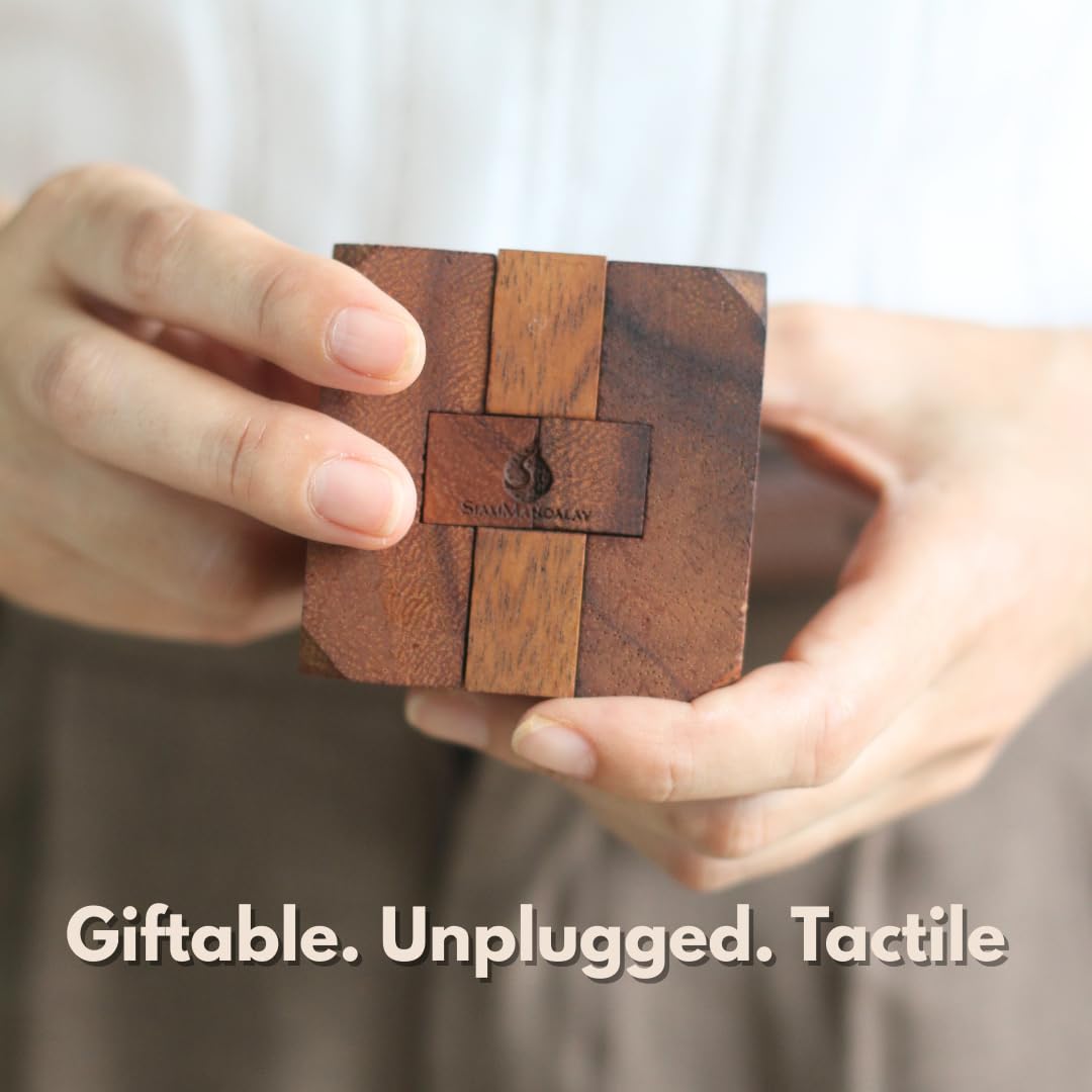 Hidden Passage: Wooden 3D Mechanical Puzzle for Adults - Brain Teaser Game | Desk Toy | Handmade Interlocking Wood Puzzle | Mind Teaser Logic