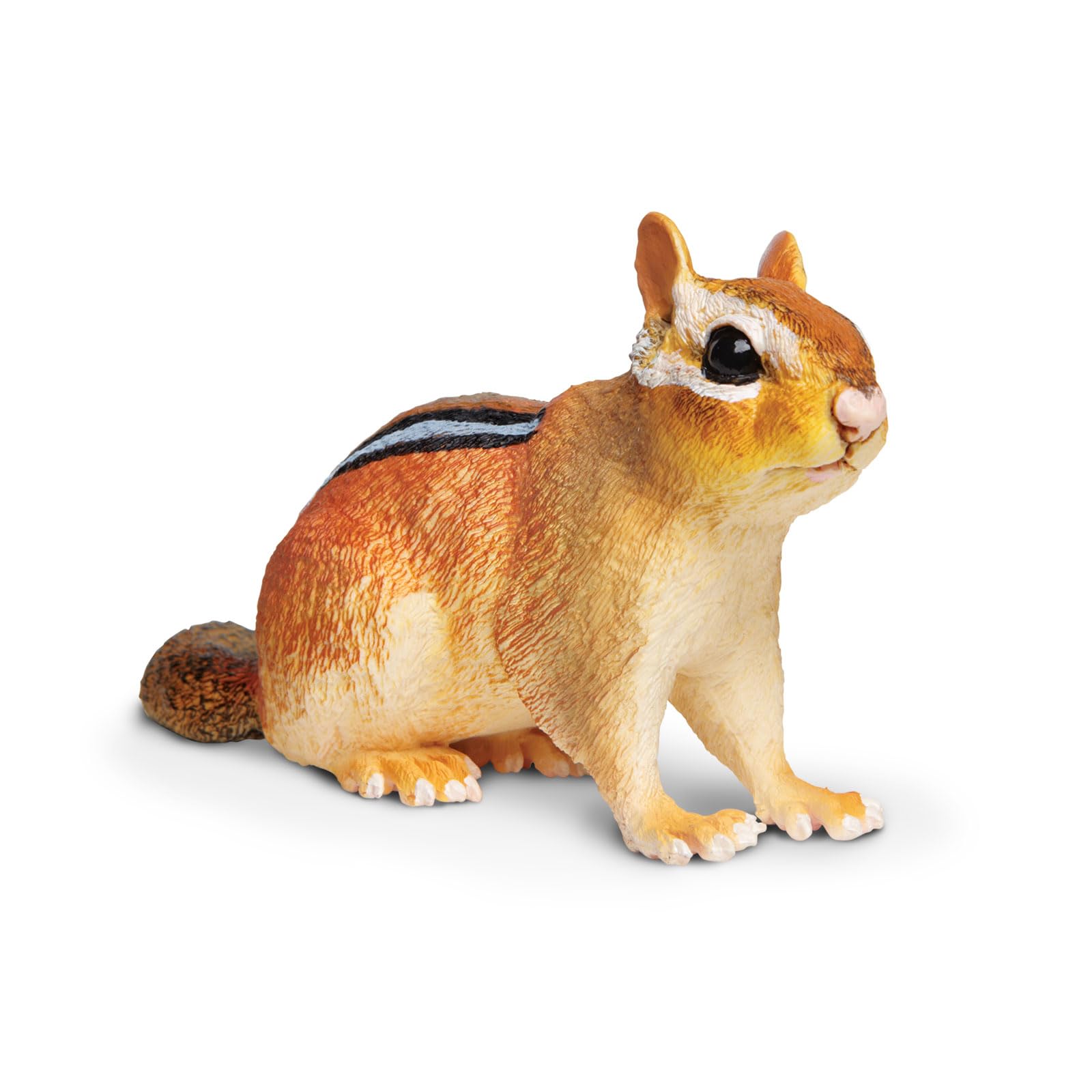 Safari Ltd. Eastern Chipmunk Figurine - Detailed 7" Plastic Model Figure - Fun Educational Play Toy for Boys, Girls & Kids Ages 3+
