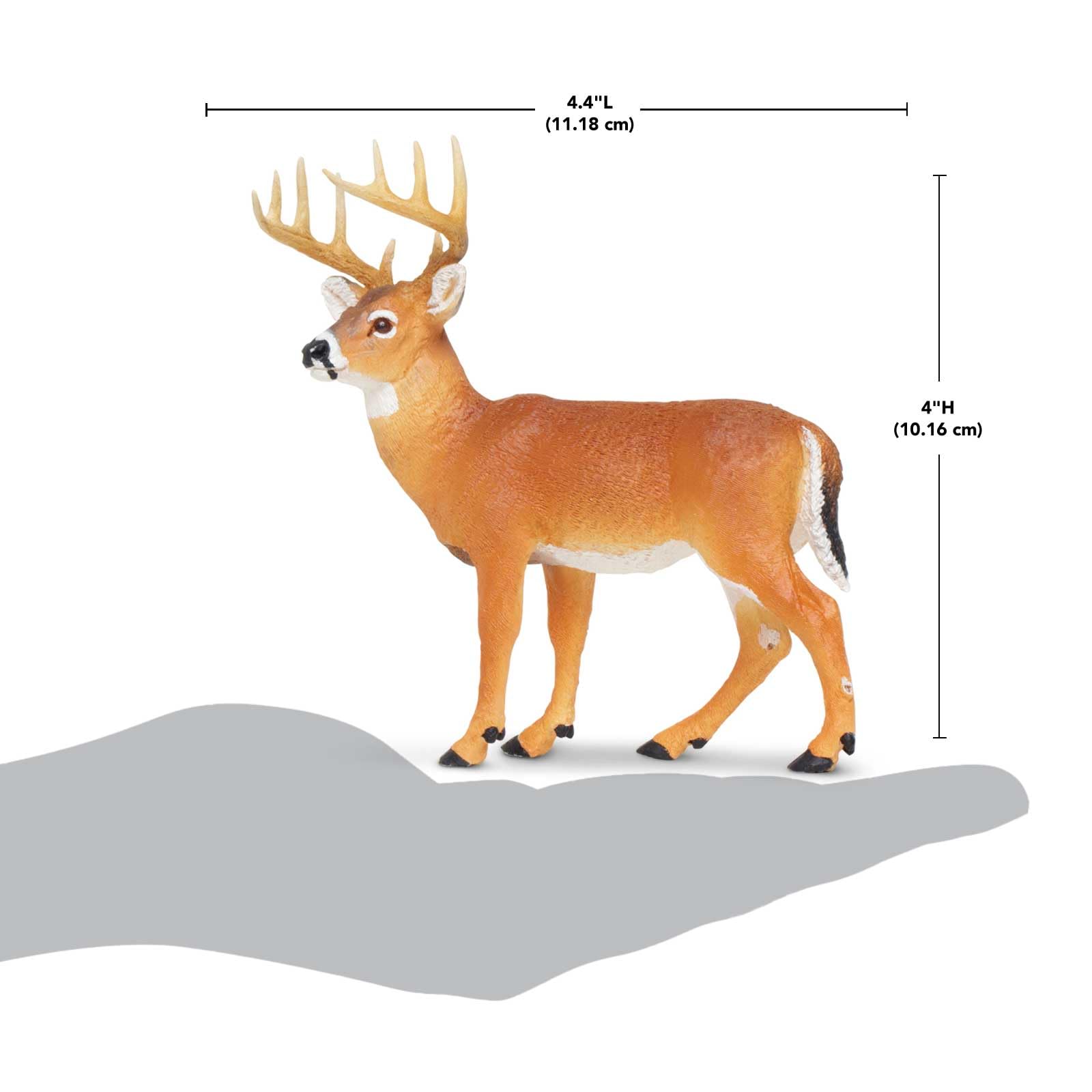 Safari Ltd. Whitetail Buck Figurine - Detailed 4.95" Model Figure - Educational Toy for Boys, Girls, and Kids Ages 1+