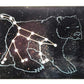 Roylco Astronomical Constellation Cards, Light Table Activity, STEM Educational Flashcards, Large and Easy to use, Sturdy, Water Resistant, Quality