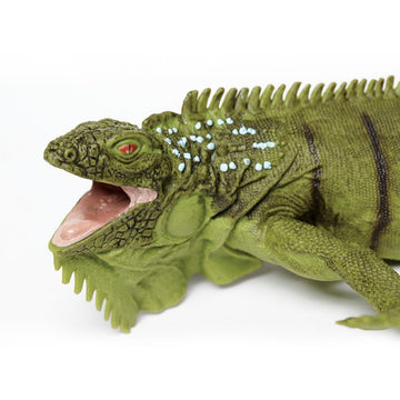 Safari Ltd. Iguana Figurine - Lifelike 11" Model Figure - Educational Toy for Boys, Girls, and Kids Ages 3+