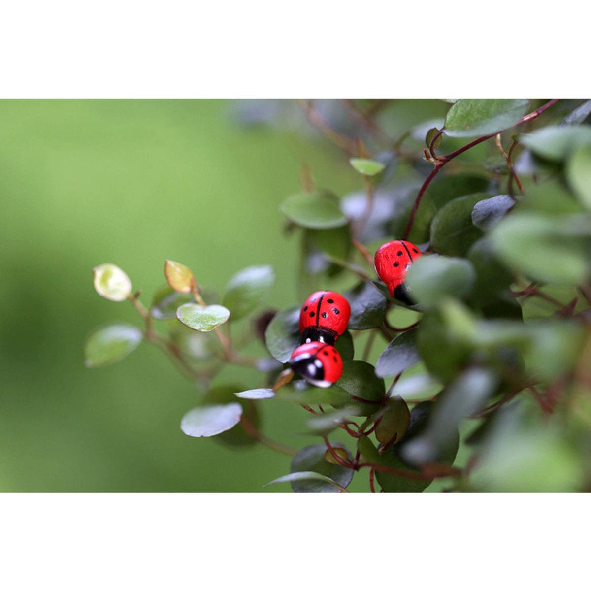 E-outstanding 100-Pack Wooden Ladybug Stickers 3D Micro Red Ladybird Flatback Self-Adhesive Stickers DIY Wedding Scrapbook Craft