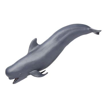Safari Ltd. Pilot Whale Figurine - Lifelike 5.75" Model Figure - Educational Toy for Boys, Girls, and Kids Ages 3+