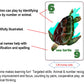 GO FISH Untamed Oceans, a Go Fish Card Game for Kids 4-8 and Up - Play Old Maid and Slap Jack with Same Deck - Easy to Learn - Family, Board Game