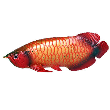 FLORMOON Arowana Figure Realistic Animal Figurines Early Educational Sea Animal Toys Science Project Christmas Birthday Cake Topper for Kids Toddler
