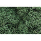 Woodland Scenics Lichen GRN, Light Green,L162