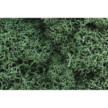 Woodland Scenics Lichen GRN, Light Green,L162