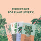 Ridley's Games: Houseplants Playing Cards| 52 Unique Hand-Illustrated Donut Playing Cards - Includes a Durable Storage Tin for Easy Travel - Makes
