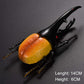 DOYIFUN Pack of 6 Lifelike Beetle Model Toys, Fake Realistic Insect Figures Collection Playset Science Educational Learning Toys for Kids Toddlers