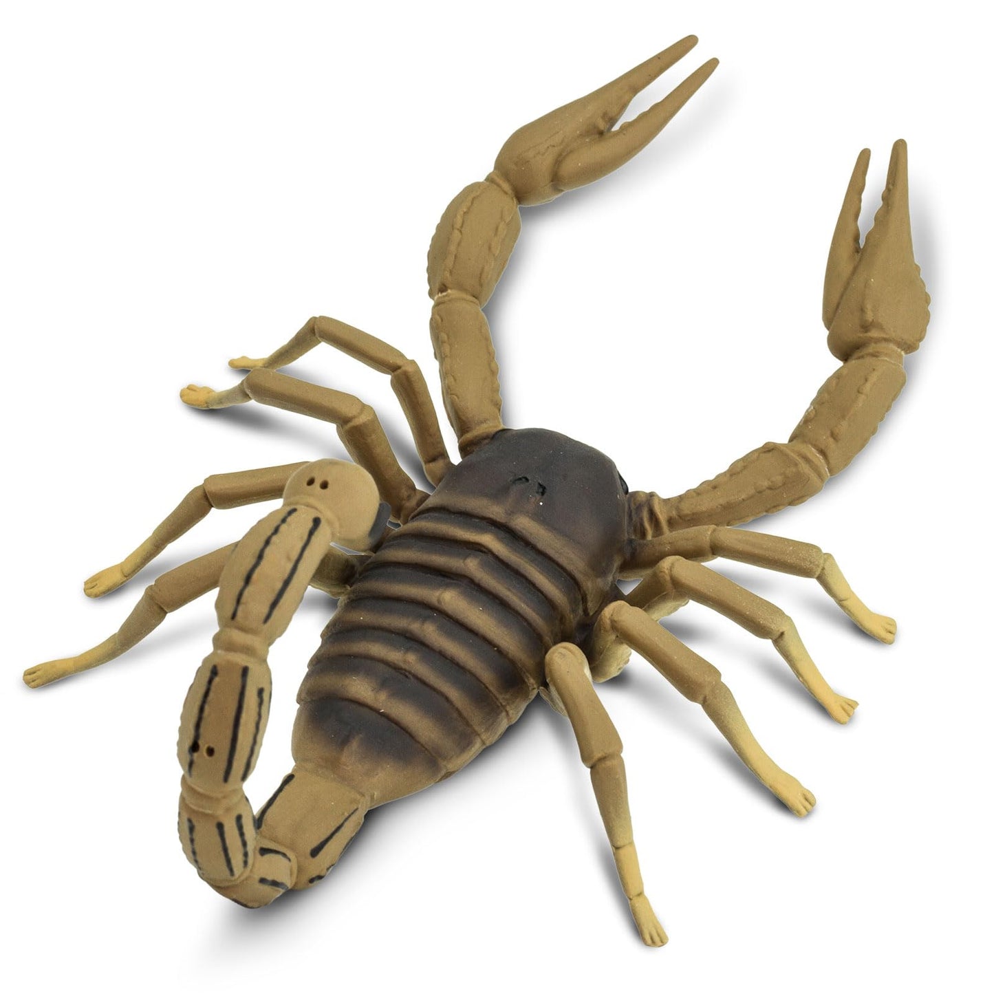 Safari Ltd. Scorpion Figurine - Realistic 7.5" Arachnid Figure - Educational Toy for Boys, Girls, and Kids Ages 3+