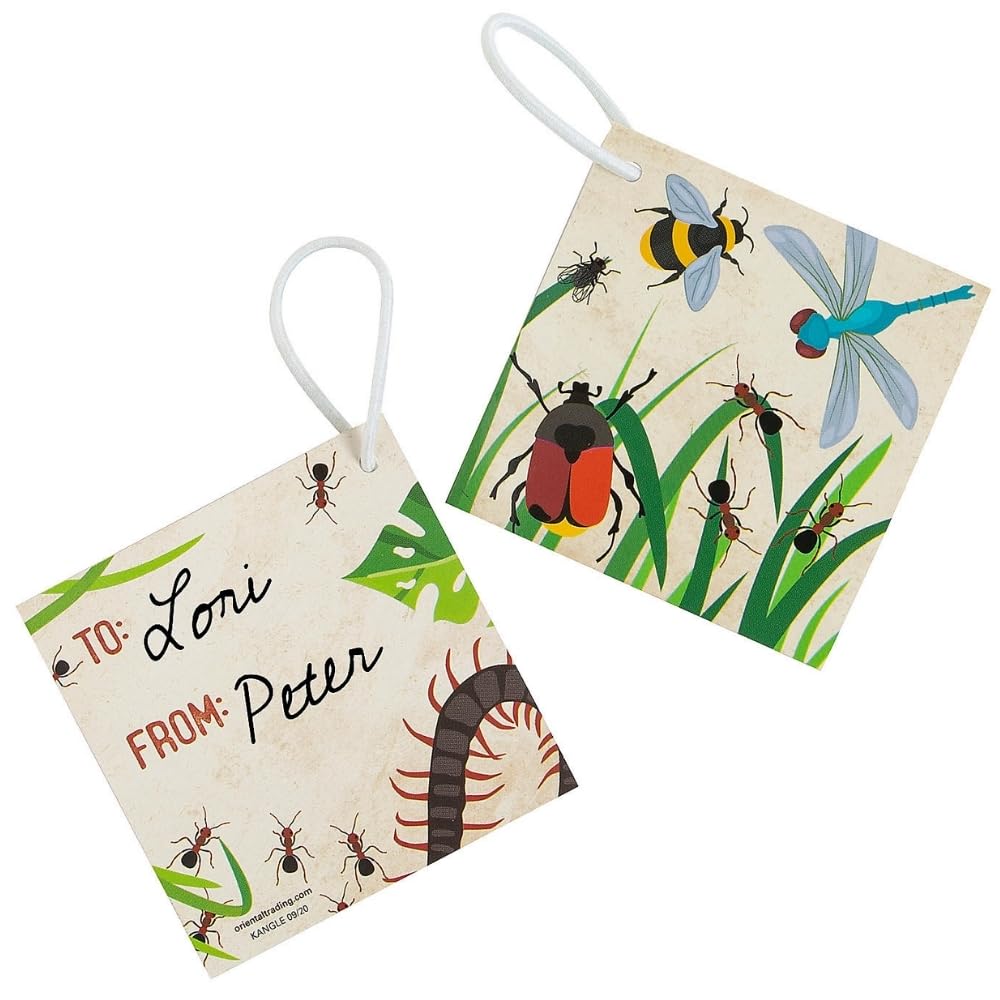 Fun Express Plush Bugs with Card - Toys - VBS Vacation Bible School Supplies/Decor - 12 Pieces