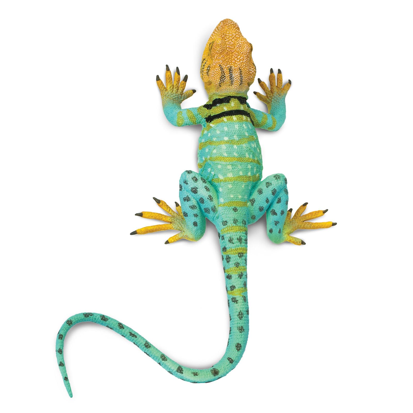 Safari Ltd. Collared Lizard Figurine - Realistic 7.25" Reptile Figure - Educational Toy for Boys, Girls, and Kids Ages 3+