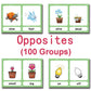 Zwttey 100 Groups English Antonyms Flashcards Building Vocabulary Pocket Cards Educational Learning Toys Pre-Kindergarten Classroom Supplies