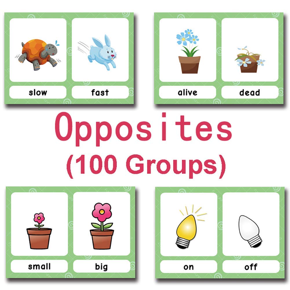 Zwttey 100 Groups English Antonyms Flashcards Building Vocabulary Pocket Cards Educational Learning Toys Pre-Kindergarten Classroom Supplies
