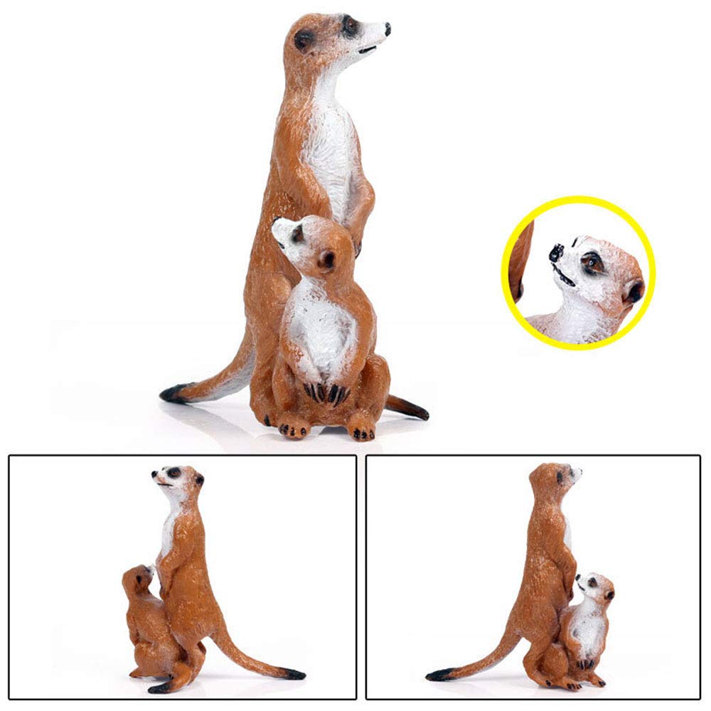 FLORMOON Animal Figures Realistic Mongoose Plastic Early Educational Toys Cupcake Topper Party Gift for Kids 2+ Year Old