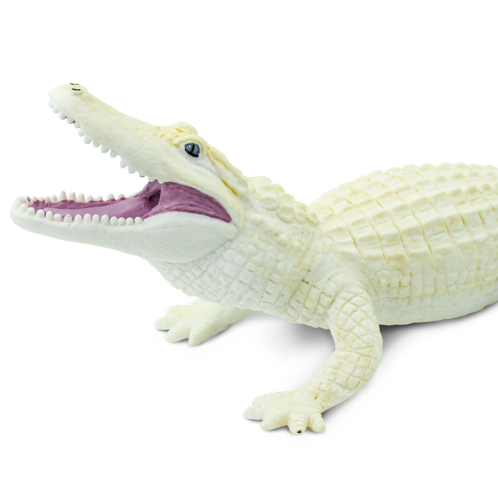 Safari Ltd. White Alligator Figurine - Realistic 6" Hand-Painted Wildlife Figure - Educational Toy for Boys, Girls & Kids Ages 3+