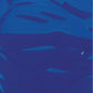 Crayola 542128042 Washable Paint, Blue, 1 gal