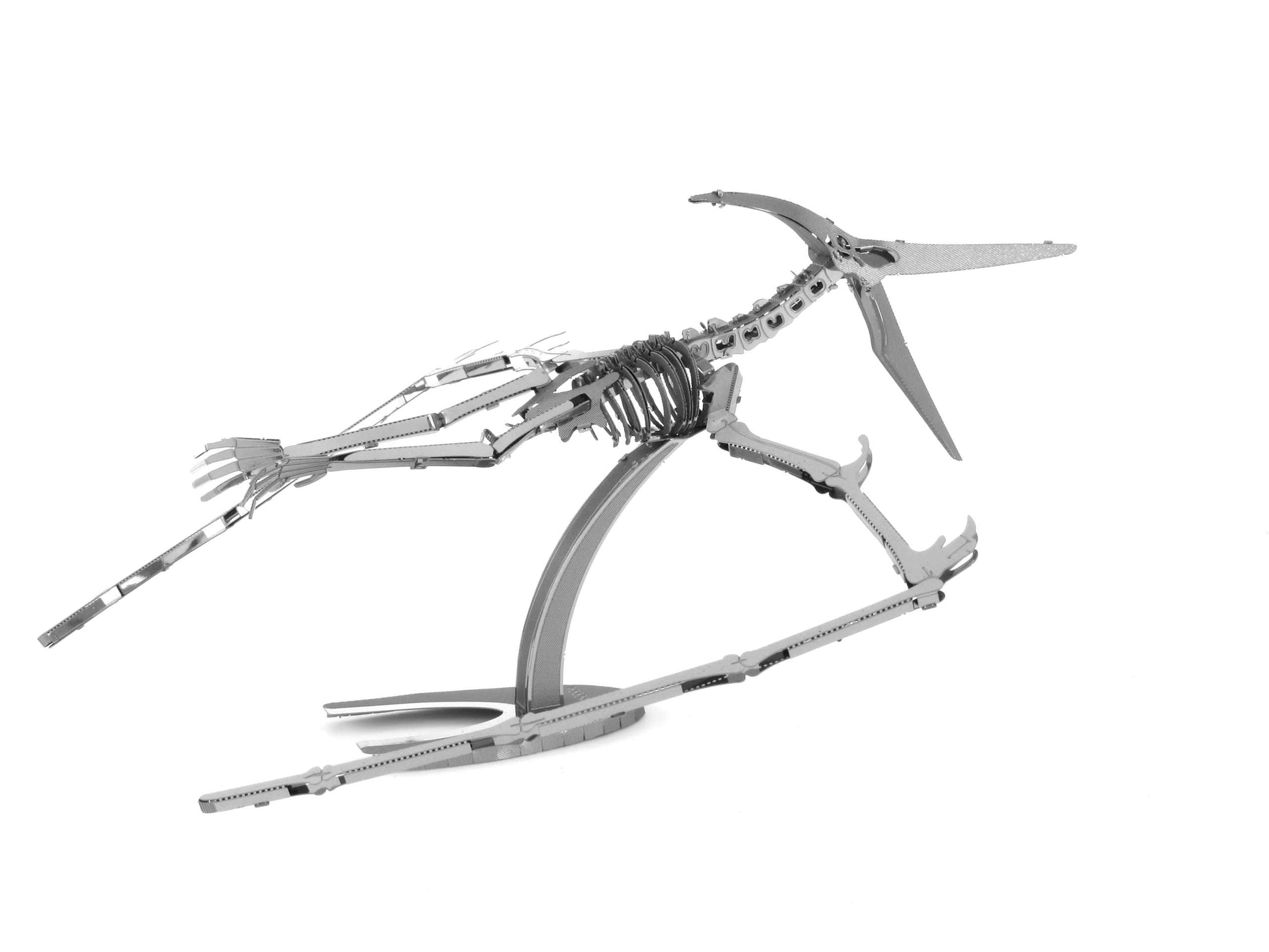 Metal Earth Pteranodon Skeleton 3D Metal Model Kit Fascinations