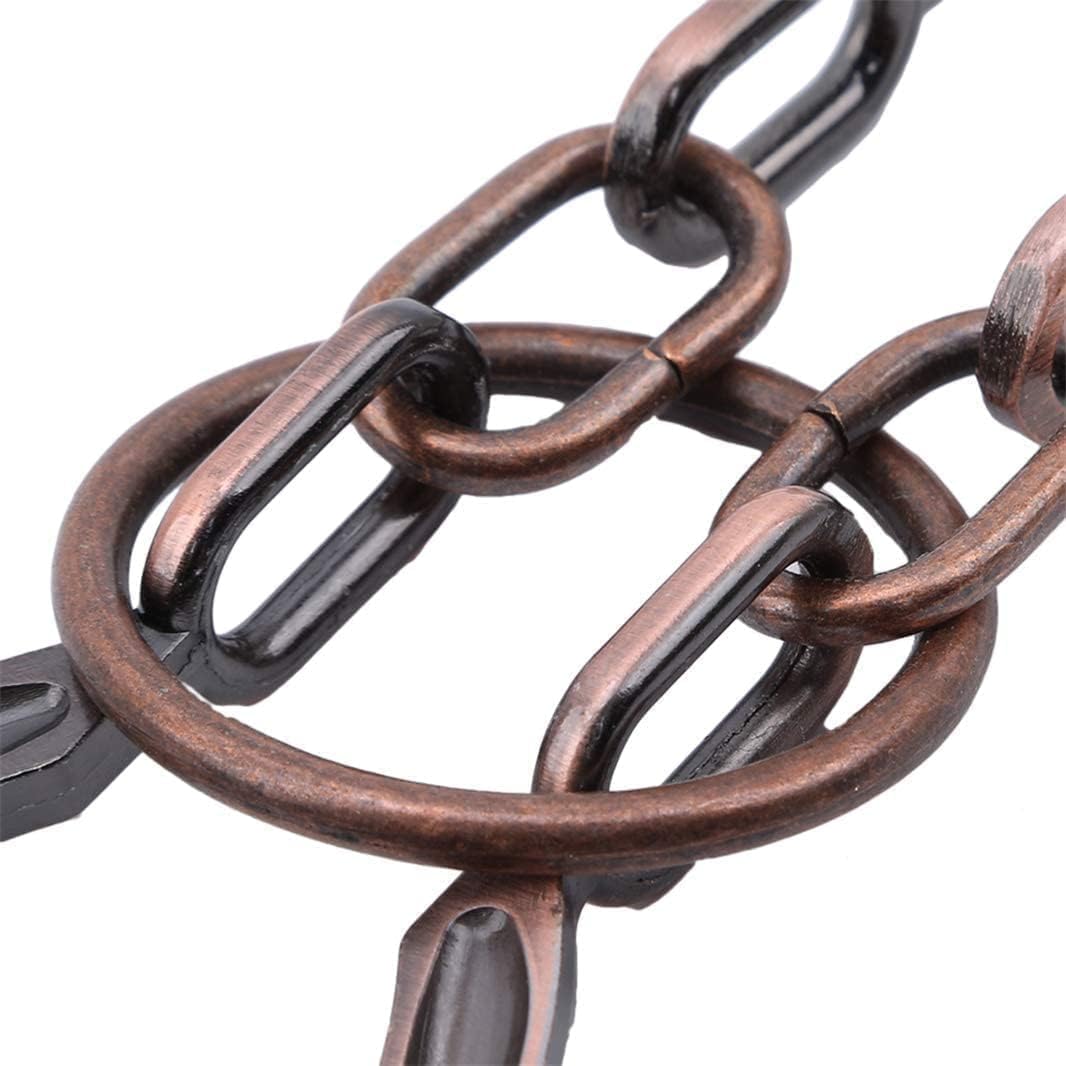 God Lock Puzzle Metal Ring Solution Intellectual Deduction Unlock Puzzle Brain Tease Unlock Horseshoe Buckle Gift, Assembly and Disentanglement