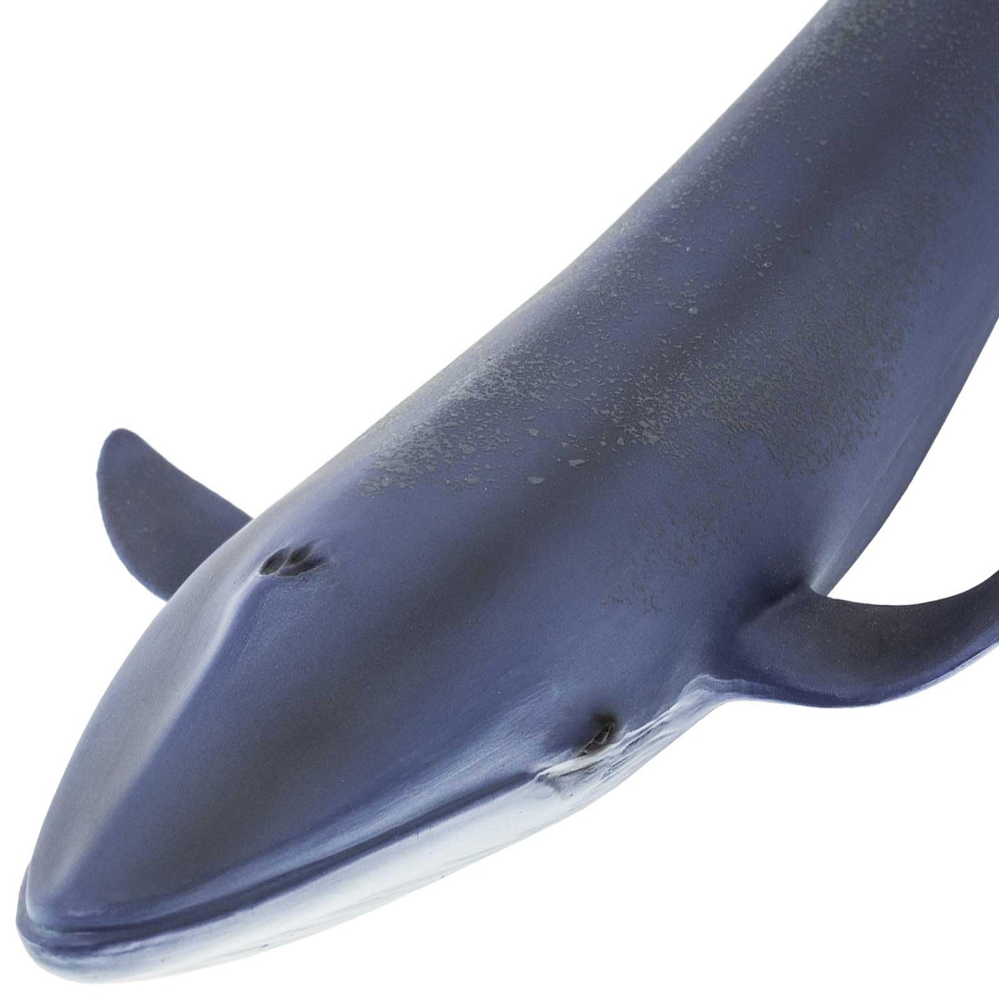 Safari Ltd. Blue Whale Figurine - Detailed 11" Plastic Model Figure - Fun Educational Play Toy for Boys, Girls & Kids Ages 3+