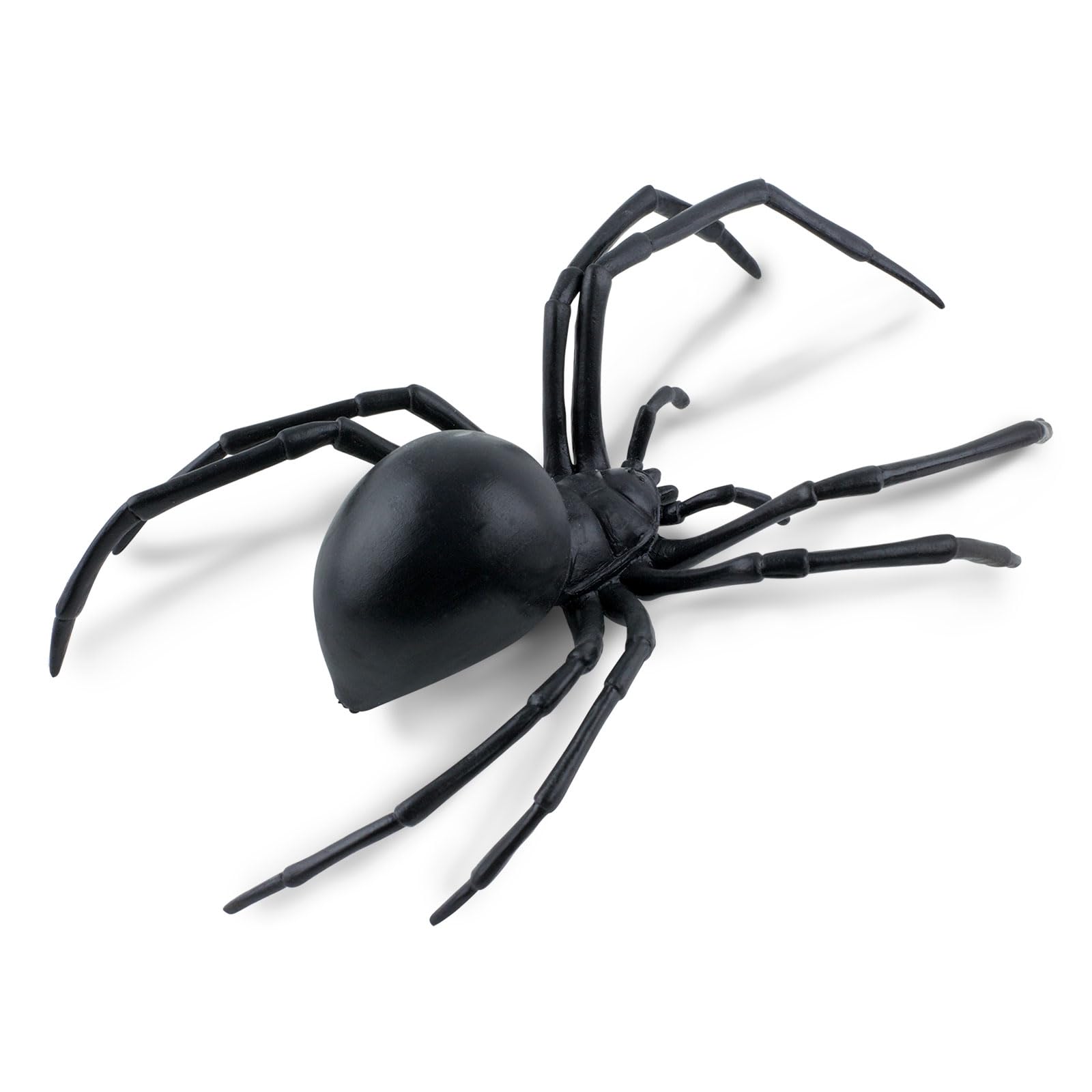 Safari Ltd. Black Widow Spider Figurine - Realistic 6.5" Arachnid Figure - Educational Toy for Boys, Girls, and Kids Ages 3+