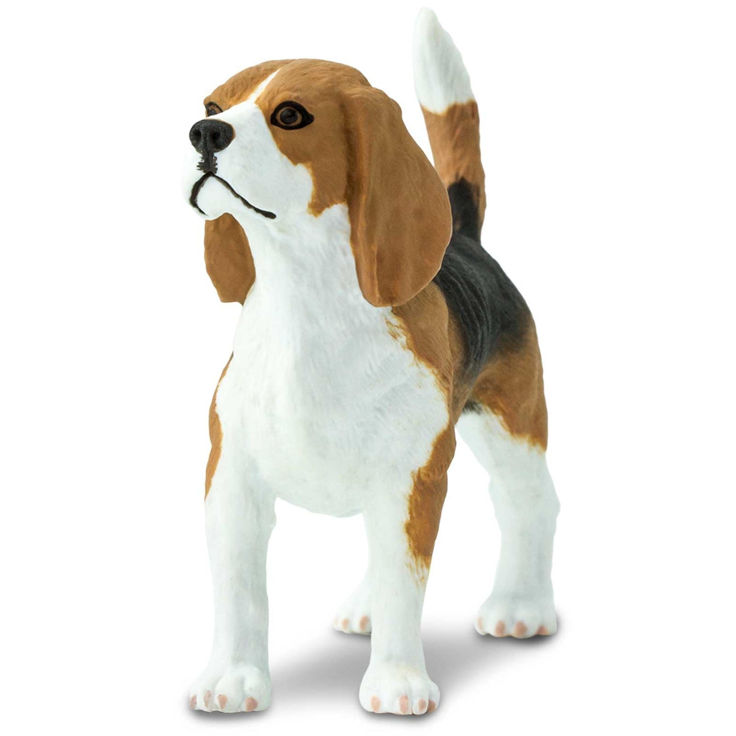 Safari Ltd. Beagle Figurine - Detailed 2.5" Plastic Model Figure - Fun Educational Play Toy for Boys, Girls & Kids Ages 3+
