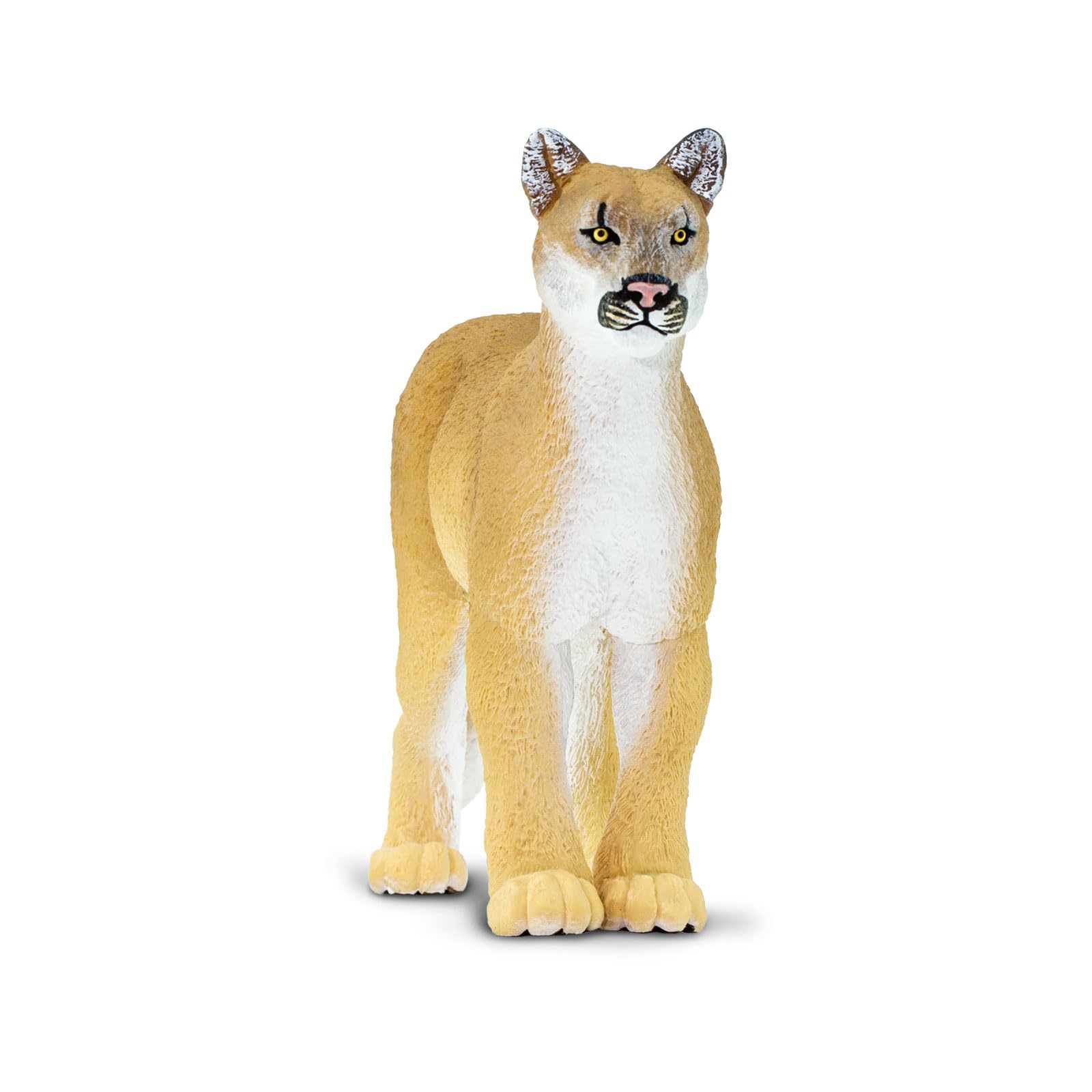 Safari Ltd. Florida Panther Figurine - Realistic 9" Model Figure - Fun Educational Wildlife Toy for Boys, Girls &Kids Ages 3+