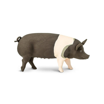 Safari Ltd. Hampshire Pig Figurine - Lifelike 4.25" Model Figure - Educational Toy for Boys, Girls, and Kids Ages 3+