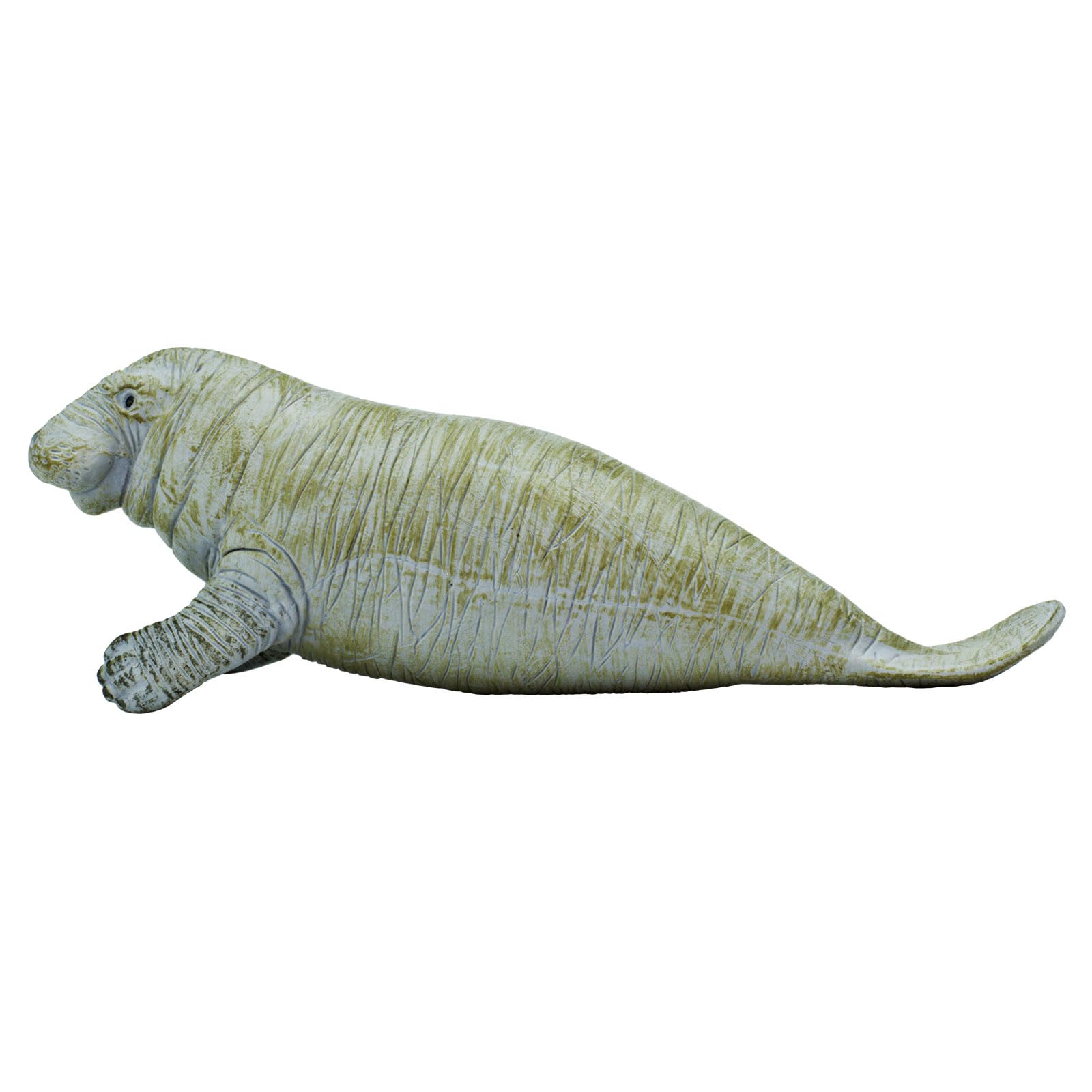 Safari Ltd. Manatee Figurine - Detailed 6" Plastic Model Figure - Fun Educational Play Toy for Boys, Girls & Kids Ages 3+