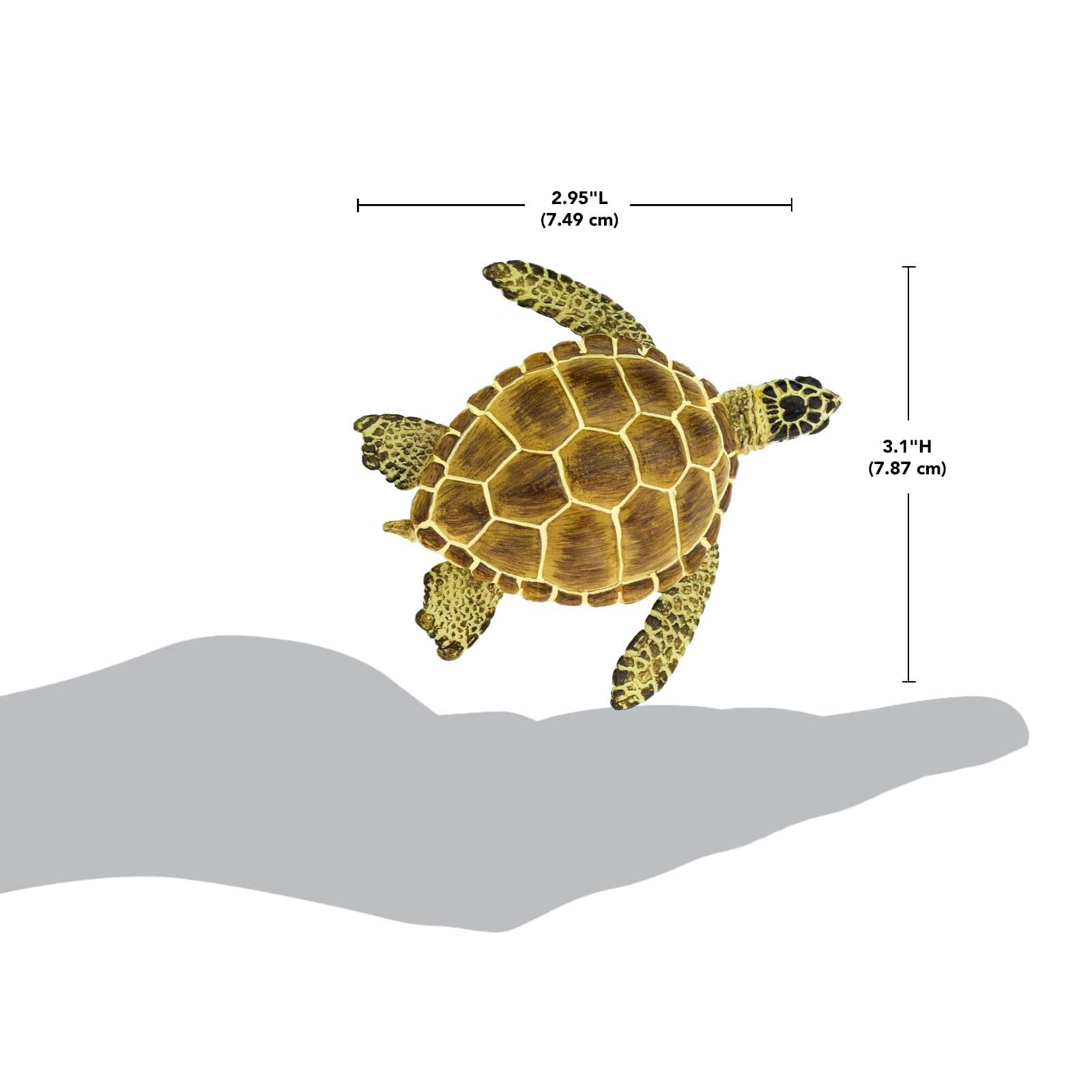 Safari Ltd. Loggerhead Turtle Figurine - Hand-Painted, Lifelike 3.75" Model Figure - Educational Toy for Boys, Girls & Kids Ages 3+