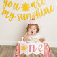 You Are My Sunshine High Chair Banner,Sun Themed First Birthday Party Decorations For Girl, Modern Sun One Garland For High Chair, Ribbon Tutu Skirt