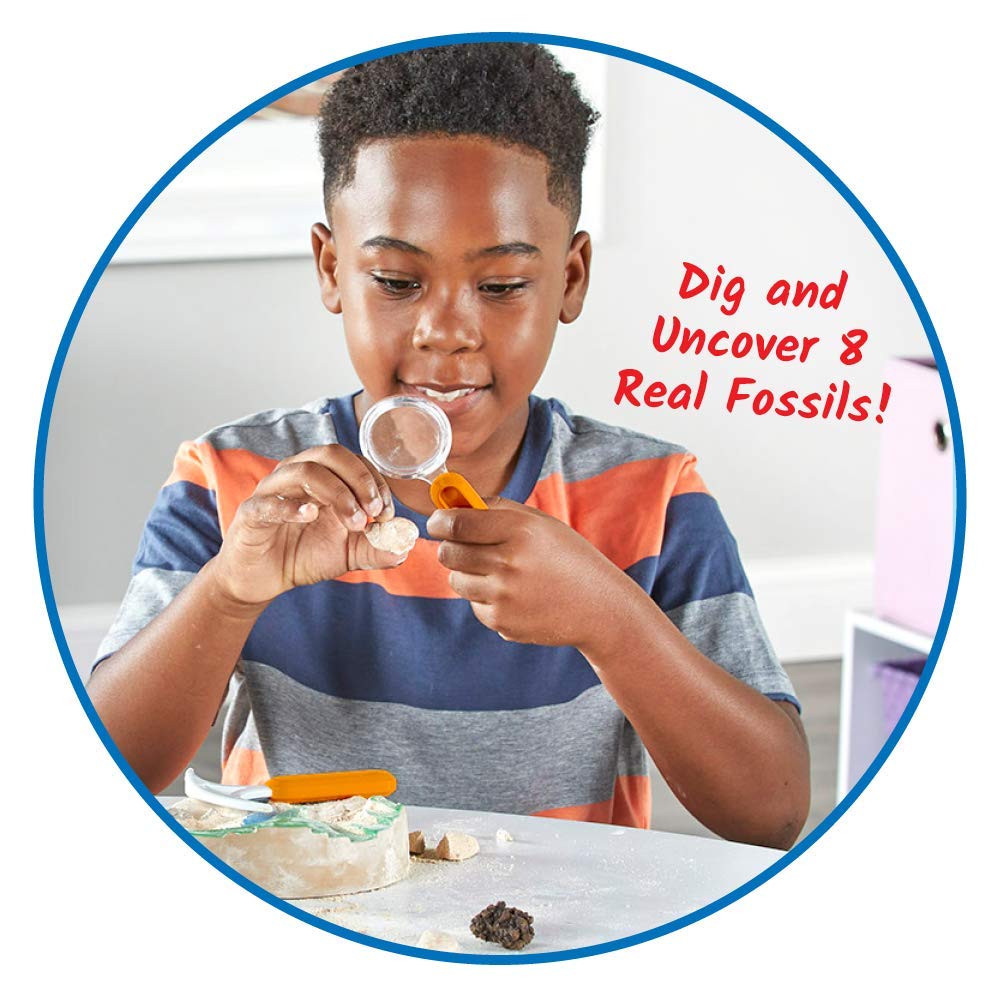 hand2mind Dig & Display Fossil Dig Kit, Fossil Display Case, 8 Real Fossils to Uncover, Dig Kits for Kids, Fossil Digging Kit for Kids, Excavation Kit