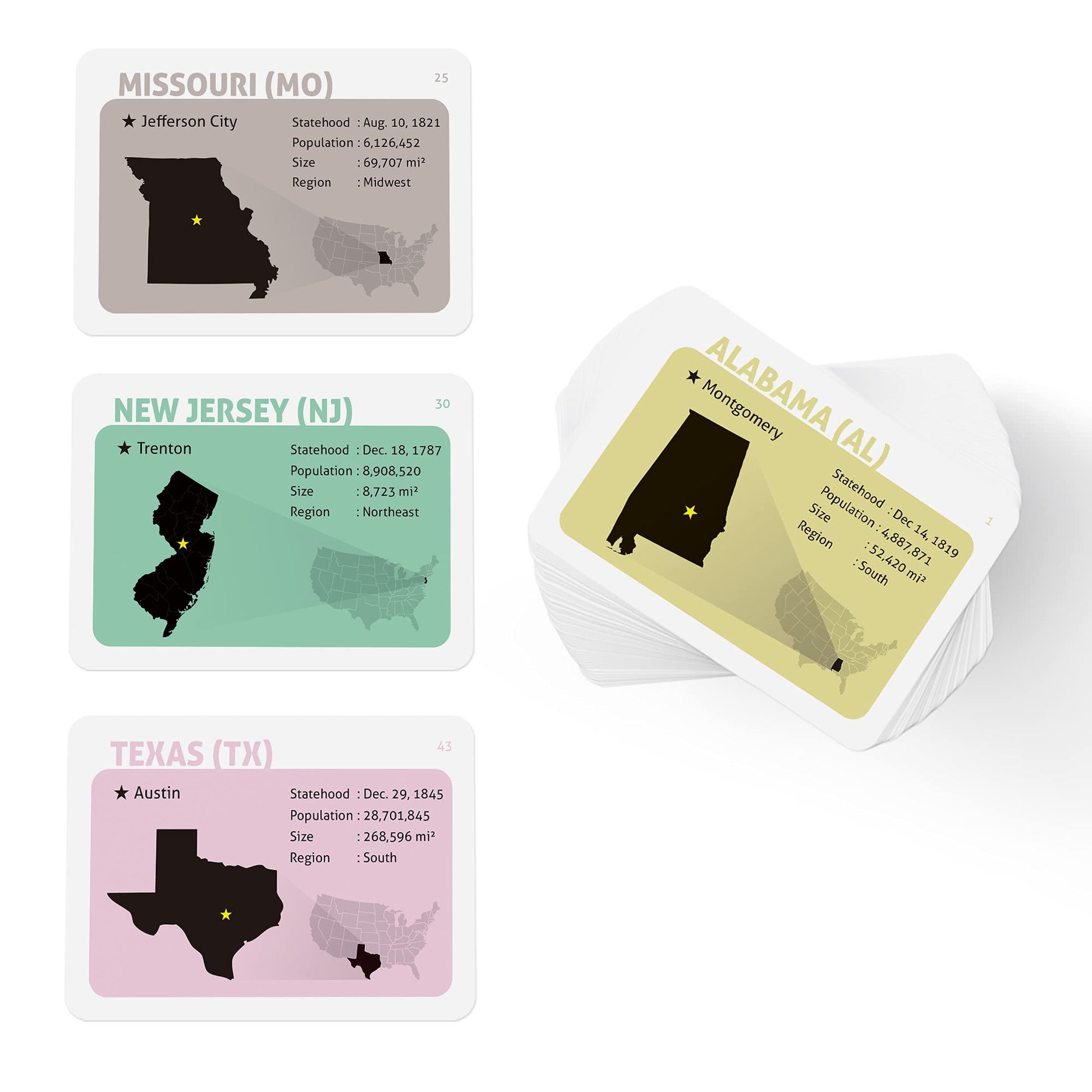 CARDDIA | U.S. State Flags Flashcards | 50 States with Names, Abbreviations, Capitals & Facts | Educational & Durable | Geography Learning Tools
