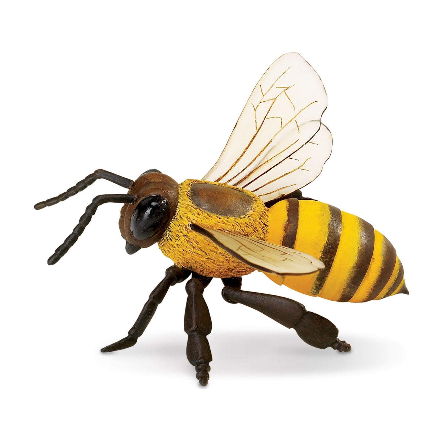 Safari Ltd. Honey Bee Figurine - Lifelike 5.5" Model Figure - Educational Toy for Boys, Girls, and Kids Ages 3Y+