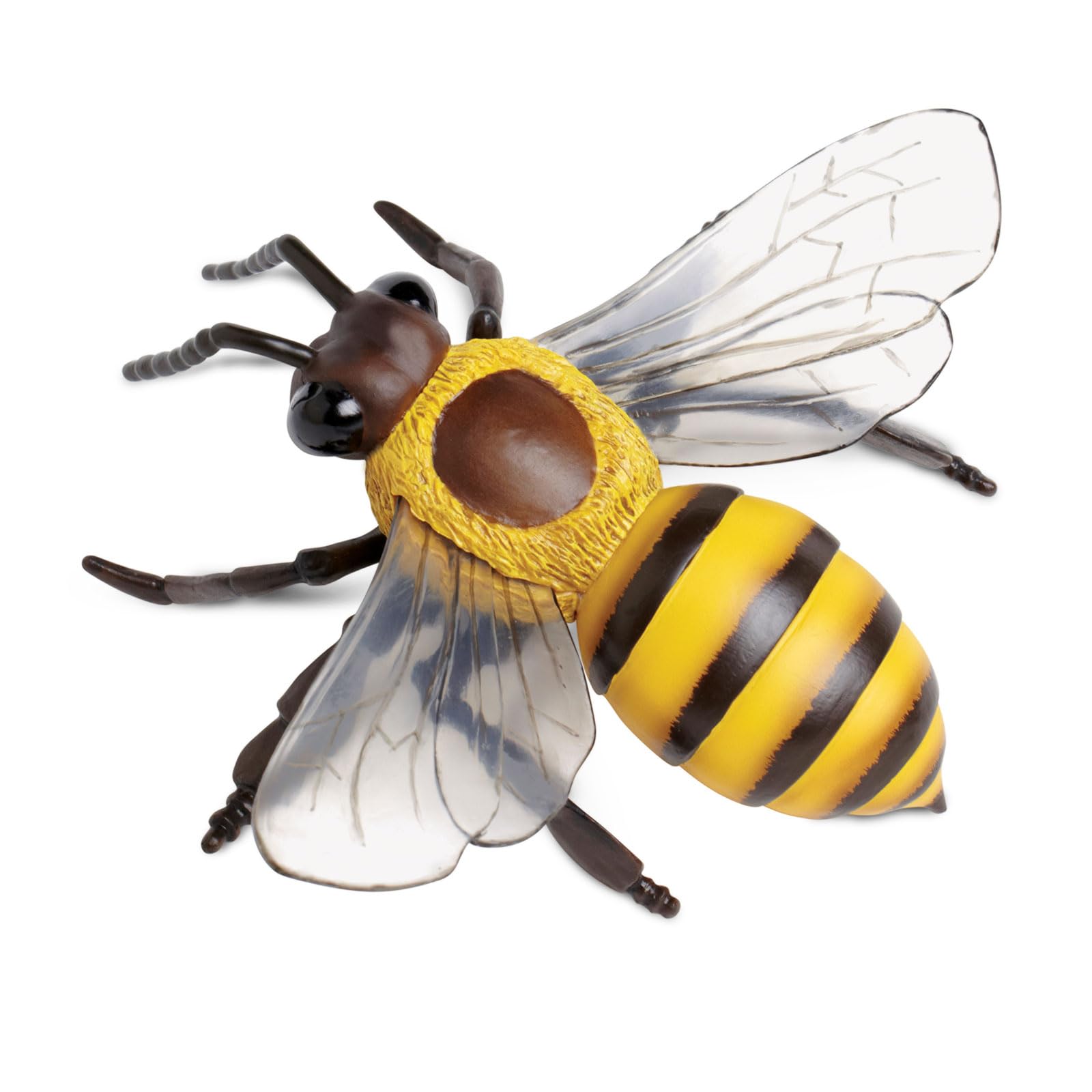Safari Ltd. Honey Bee Figurine - Lifelike 5.5" Model Figure - Educational Toy for Boys, Girls, and Kids Ages 3Y+