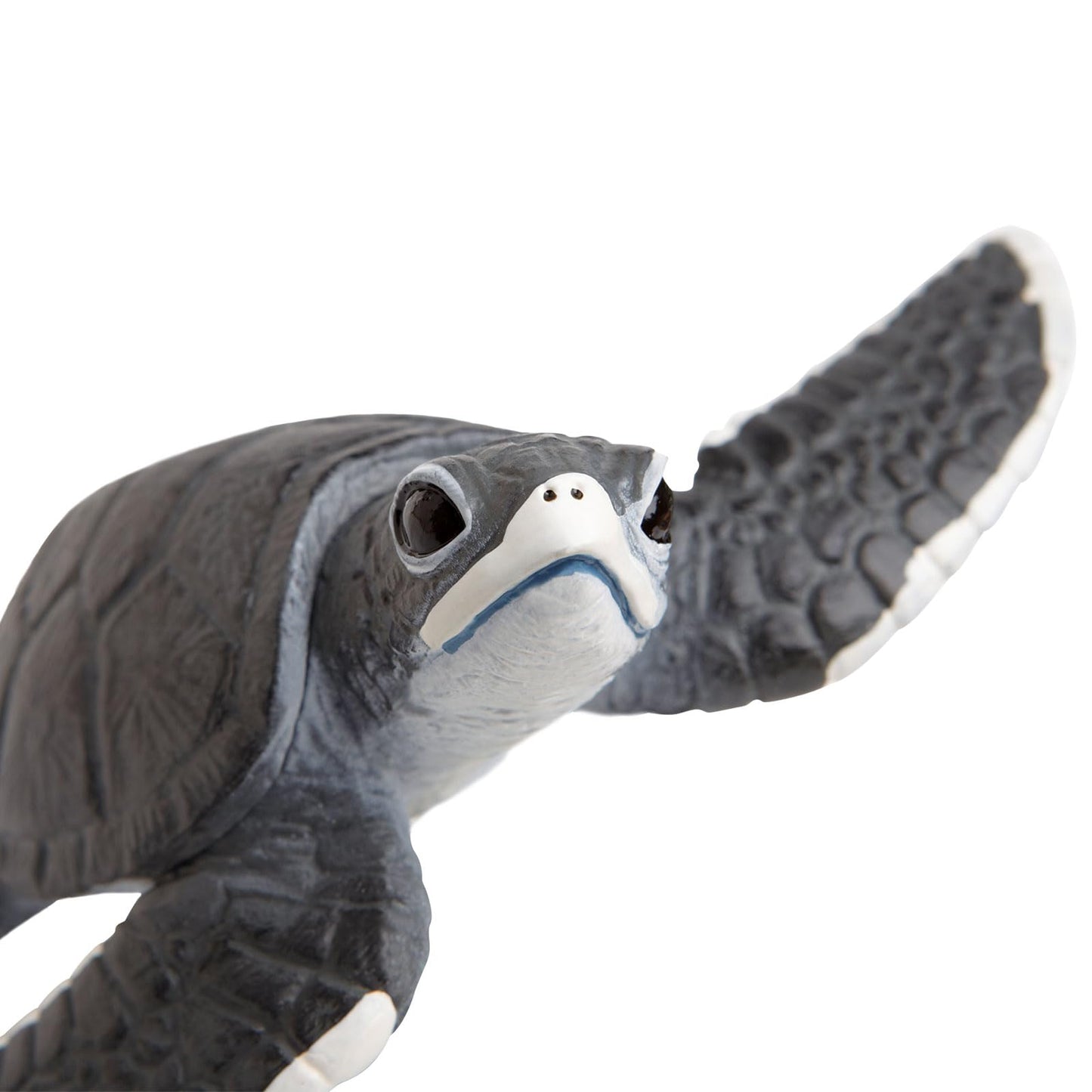 Safari Ltd. Baby Sea Turtle Figurine - Lifelike 5.5" Model Figure - Educational Toy for Boys, Girls, and Kids Ages 18M+