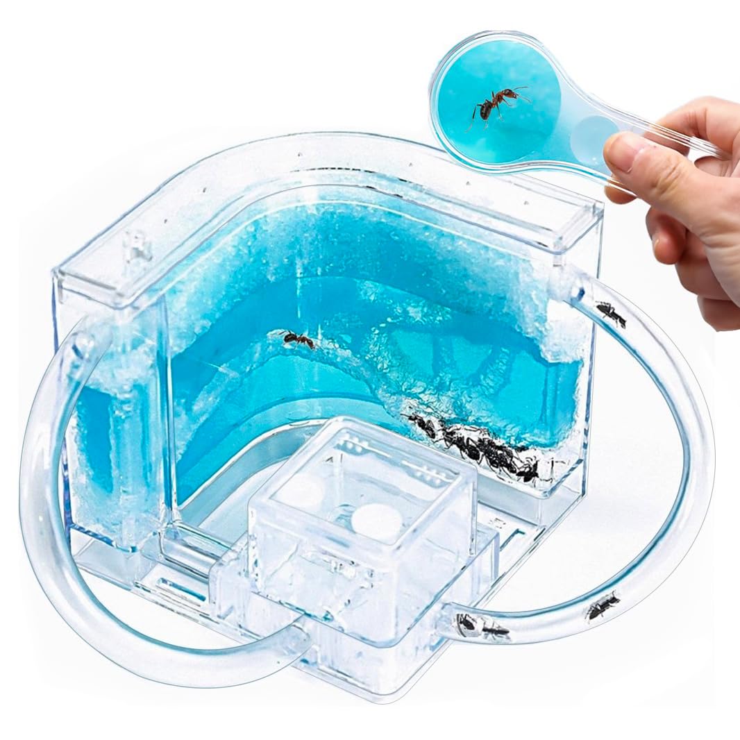 NAVADEAL Ant Farm Castle 2.0 with Connecting Tube, Ant Habitat Science Learning Kit, Best STEM 2021 Educational Kids Toy, Study Insect Behavior at
